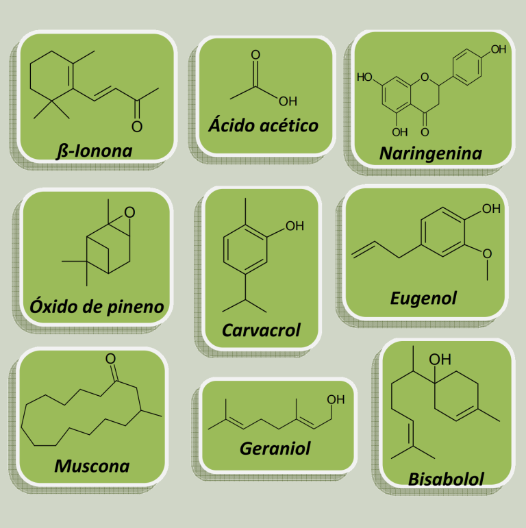 Para Imprimir – Química – Democratizando Saberes